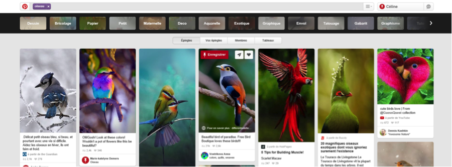 2016_chip_pinterest_04