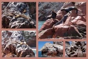 CHIP_2015_03_picasa_3