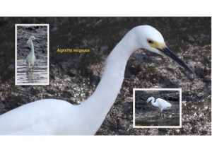 CHIP_2015_08_photo_01