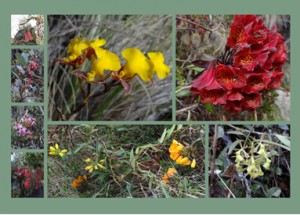 CHIP_2015_08_photo_05