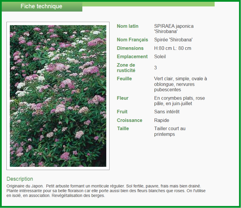 CHIP_2016_01_horticulture_3