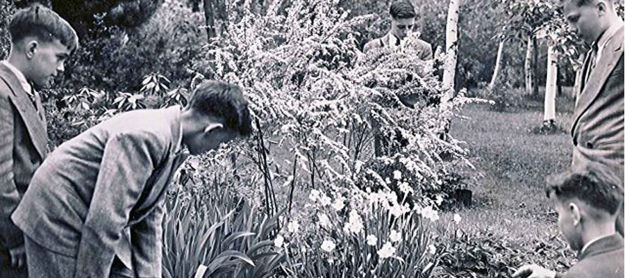 photo_honor_bigras_04