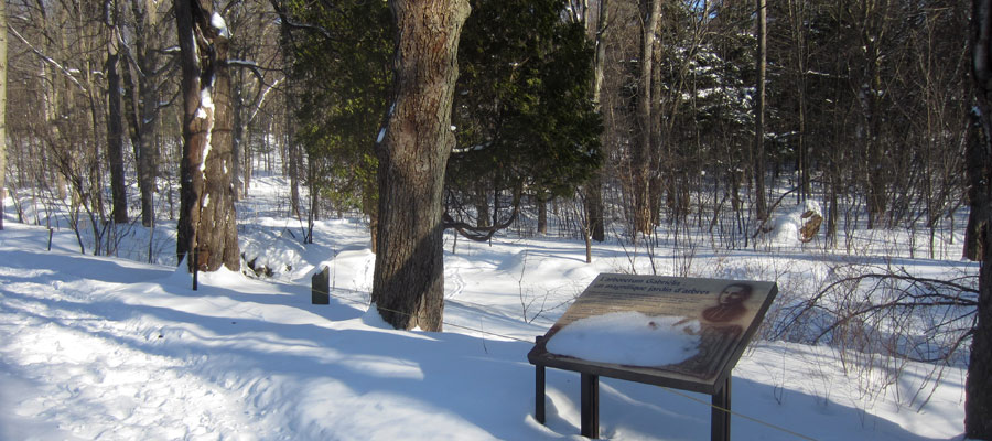 photo_honor_bigras_06